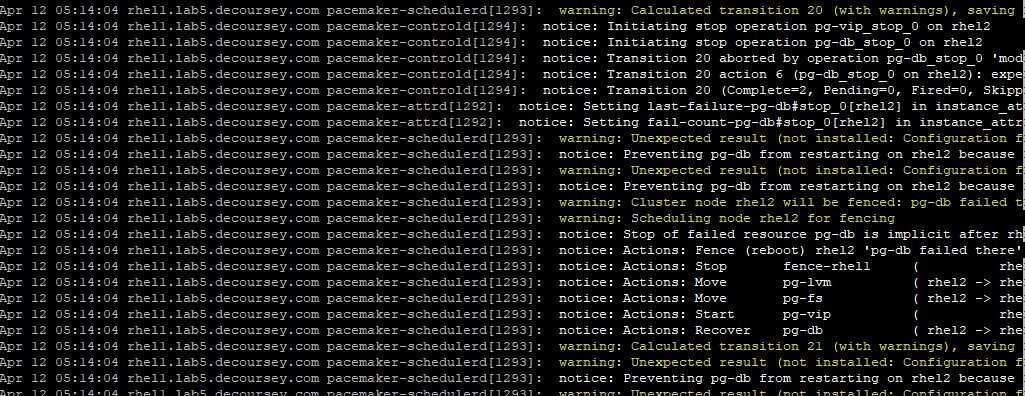 shell screenshot